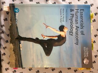 Essentials of Anatomy  - cover image