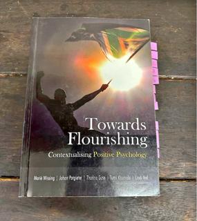 Towards Flourishing- Contextualising Positive Psychology - cover image
