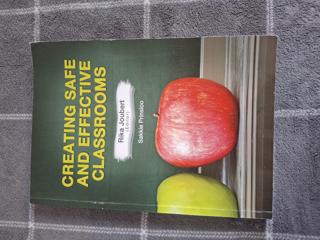 Creating Safe and Effective Classrooms  - cover image