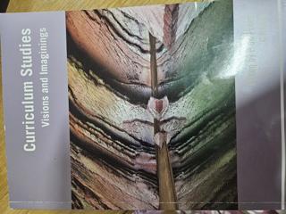 Curriculum Studies Visions and Imaginings - cover image