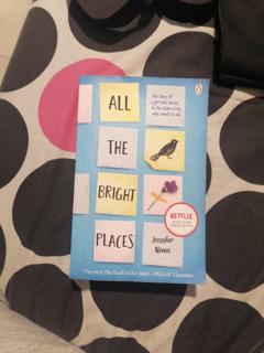 all he bright places - cover image