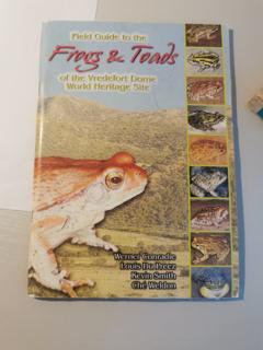 frogs and toads - cover image