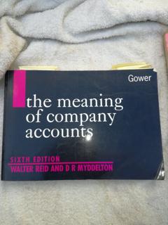 The meaning of company accounts. - cover image