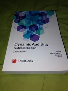 Dynamic Auditing - cover image