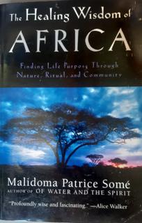 The Healing Wisdom of Africa - cover image