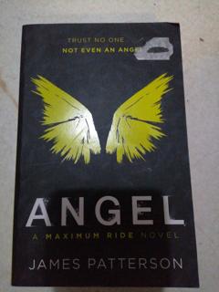 Angel  - cover image