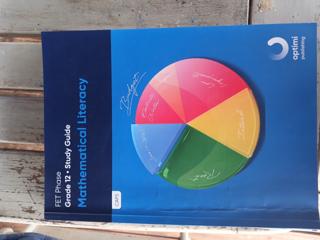 Mathematical Literacy gr 12 impaq - cover image