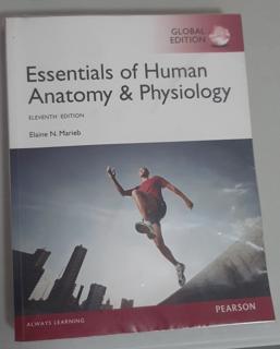 Essentials of Human Anatomy  - cover image